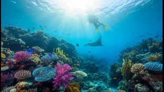 Activity Availability Can Change The Ideal Travel Season