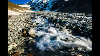 Uttarakhand Glaciers Retreating at 23 Metres Annually, Study Finds