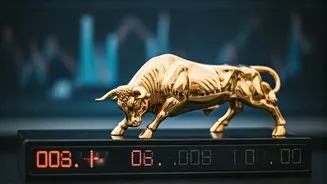 Navigating the Indian Stock Market: Insights and Strategies