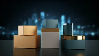 US Influencer's Rs 40 Lakh Earning: Brand Insights