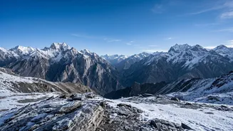 Exploring Ladakh's Snow Leopard Safari: A Guided Route to Observe High-Altitude Animals