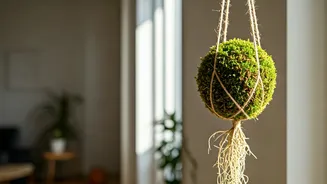 DIY Hanging Kokedama Moss Balls Are Voted Top Project
