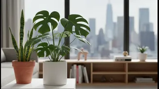 Easy-Care Plants For Busy City Lifestyles