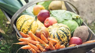 How to add seasonal produce to your diet