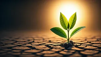 Unlock Your Potential: 5 Proven Strategies for Lasting Life Changes