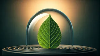 Navigating Negativity: 5 Psychology-Backed Strategies to Shield Your Energy