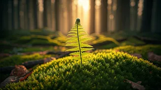 Nature's Rx: How a Dose of the Outdoors Revitalizes Your Brain and Reduces Stress