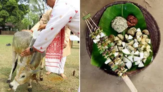 Goru Bihu festival: How farmers honour cattle on first day of Rongali Bihu with age-old customs