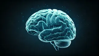 Wikipedia's Survival: Navigating AI & Musk's Challenges