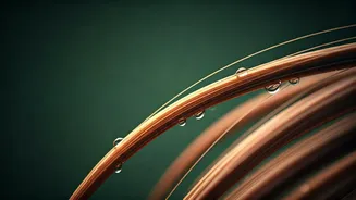 Trichologists Confirm Daily Hair Fall Jumps In Peak Humidity
