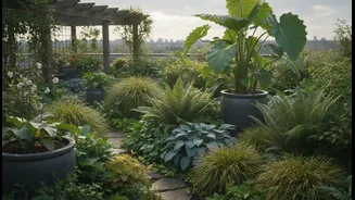 Looking To Cool Your Terrace? These Monsoon Plants Offer Natural Relief