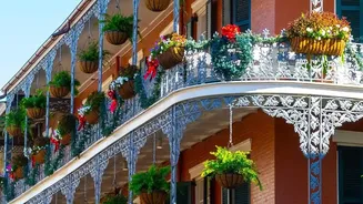 Small Balconies Are Getting A Natural Makeover With Rain-Friendly Flowering Plants