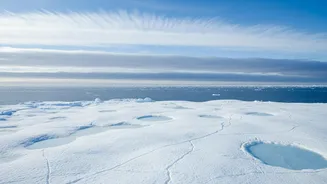 The New Arctic Cloud-Particle Study Adds A New Piece To Particles Near Melting Sea Ice