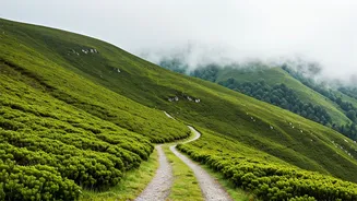 Jharkhand's Hidden Gem: Discovering the Enchanting Meghahatuburu Hill Station