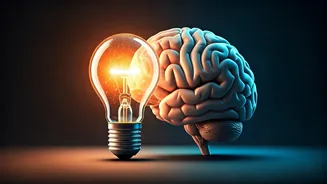 Sleep Smarter, Work Better: Unpacking Productivity Myths vs. Reality