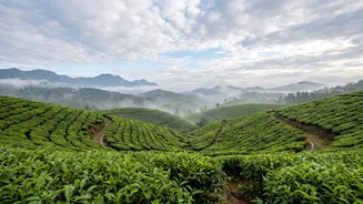 How to Assess a Destination's Weather Risk Before a September Monsoon Trip