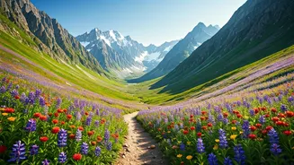 Uttarakhand Valley Of Flowers Formally Opens For Summer Season