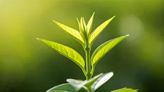 Improve Your Well-being: A Complete Guide