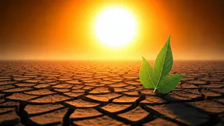 Kerala Battles Extreme Heat: Expert Advice for Safety and Preparedness