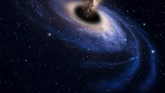 The Latest Webb Study of Little Red Dots Puts Extreme Distance, Hidden Galaxies and Active Black Holes on One Checklist