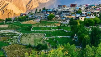 Dong Valley Sunrise: Why Travellers Trek Before Dawn For The View