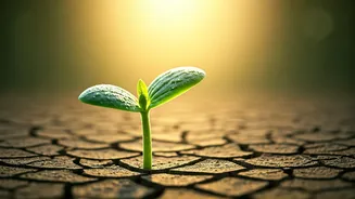 Unlock Your Potential: Psychology's Secrets to Lasting Success