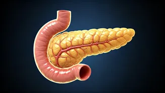 Exercise & Blood Sugar: Your Personal Guide