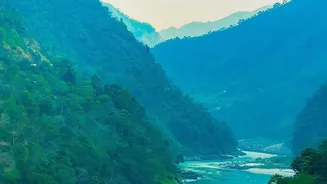 How Rishikesh Hostels Blend High-Speed Wi-Fi And Community Life Under 20,000 Monthly