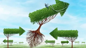 Investing ₹500 A Week In Index Funds Gives Early Earners Automated Wealth Growth