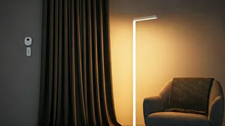 Energy Efficiency Makes Decor Feel More Responsible
