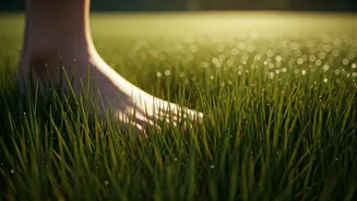 Stroll Barefoot On Dewy Public Lawns For Natural Grounding