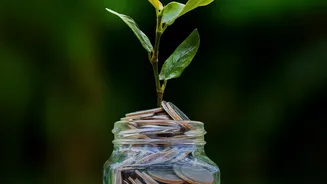 Why Early Compound Returns Help Tiny SIPs Surpass Larger Contributions Made Years Later