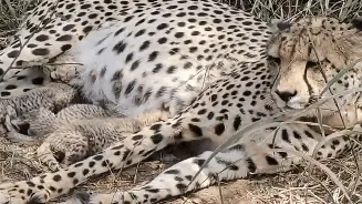 Related Stories banner