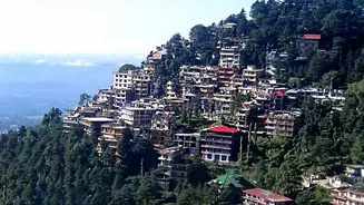 Popular Indian Hill Stations Face Questions Over Crowding And Lost Charm: The Main Takeaway