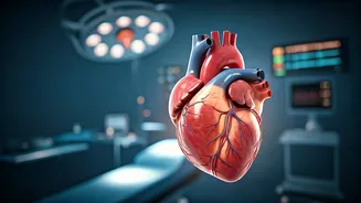 A New Dawn for Hearts in India: Advanced Transplants Offering Renewed Life