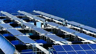 India's Agrivoltaics Push: Crop Shade and Water Use Now Shape Agrivoltaics Assessment