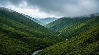 Off-Season Monsoon Travel Is Budget-Friendly And Beautiful