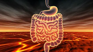 Beat the Heat: How Rising Temperatures Impact Your Digestive Health in India