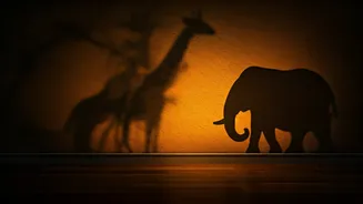 Crafting Mesmerizing Shadow Art with African Animal Silhouettes