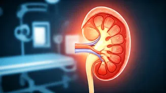 Guard Your Kidneys: A Surgeon's Plea for Early Detection and Prevention