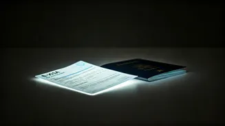 Japan E-Visa Prep Needs Early Attention Now