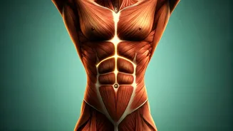 Strengthen Critical Core Muscles Practicing 10 Day Plank Yoga Drills