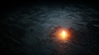 OpenAI's Safety Bug Bounty: Uncovering AI Abuse and Risks