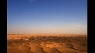 Understanding Local Winds: Loo and Other Regional Phenomena