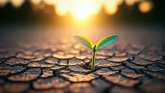 Acts of Kindness: Inspiring Stories of Compassion and Community