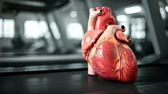 Heart Health and Exercise: A Guide to Wellness