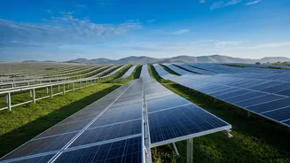Sustainable Wealth Building: Sovereign Green Bonds Pay Fixed Returns To Eco-Conscious Investors