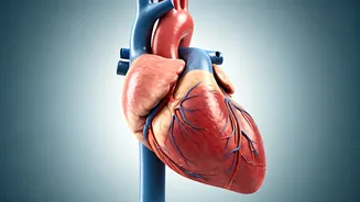 10 Life-Extending Tips: Insights from a Cardiologist