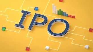This Temasek-backed renewable energy company plans $500M IPO in India