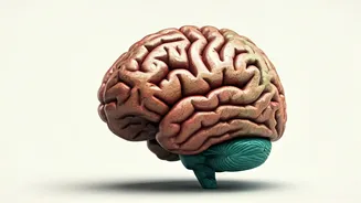 10 Yoga Poses to Boost Memory and Focus in Kids!